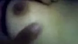 Jolie chatte avec de ...