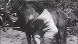 Busty salope porno g ...