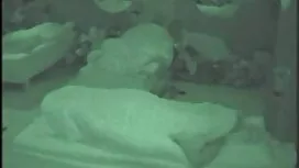 Chubby Blonde porno  ...