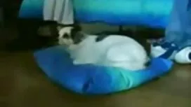 Busty salope baise f ...