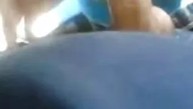 Passionné chienne po ...